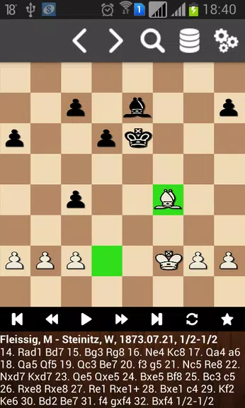 Партии Вильгельма Стейница 스크린샷 1