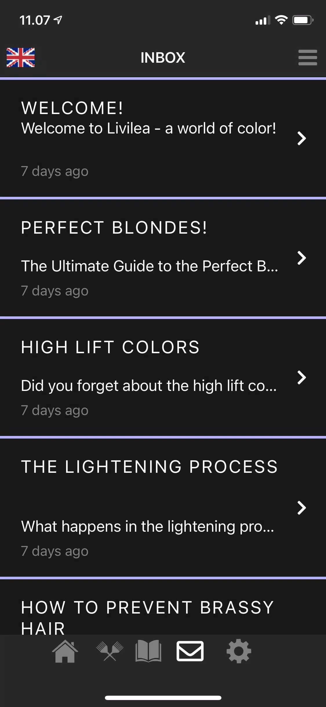 Livilea Captura de pantalla 3