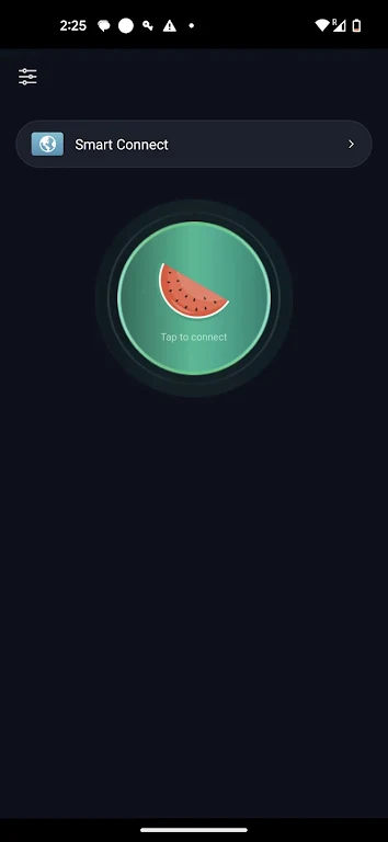 Melon Proxy Schermafbeelding 2