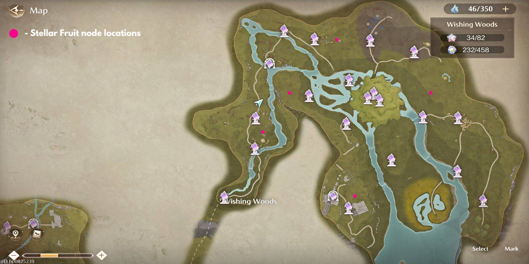 Stellar Fruit node map