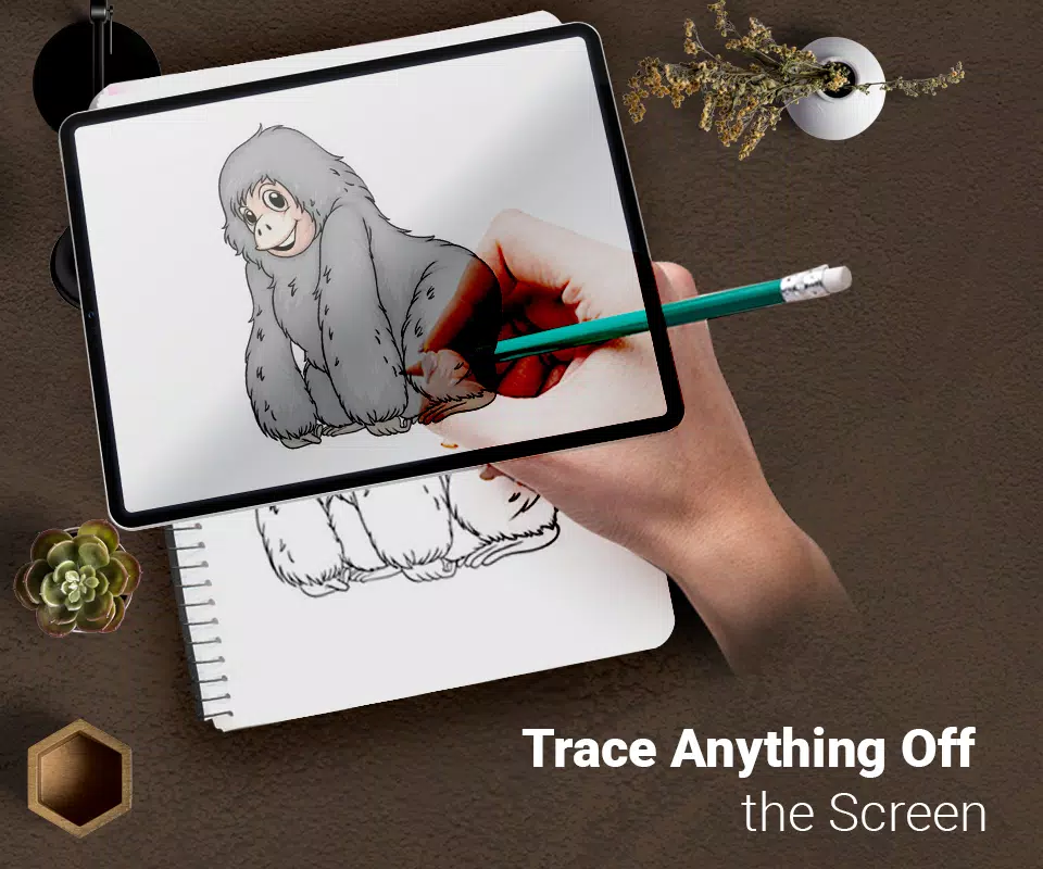 Draw : Trace & Sketch 스크린샷 1