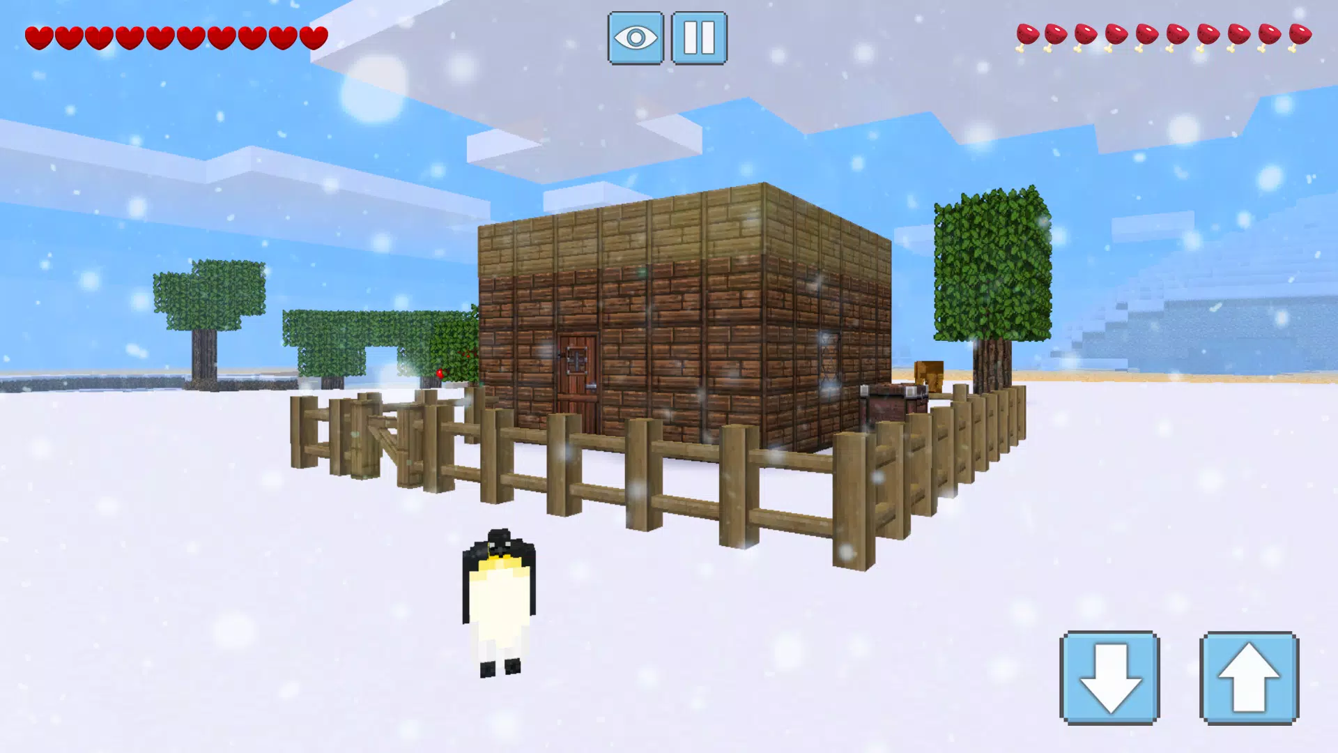 Winter Craft Captura de pantalla 3