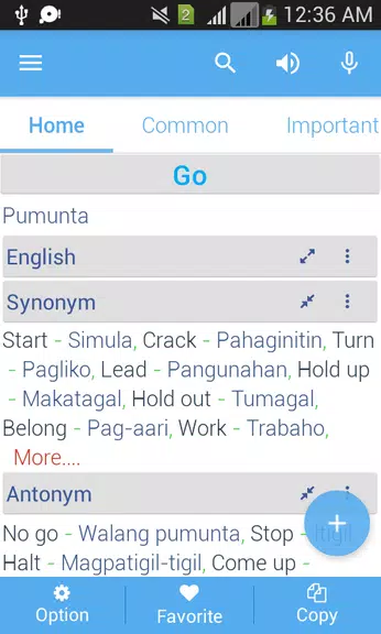 Filipino Dictionary Multifunct Captura de pantalla 3