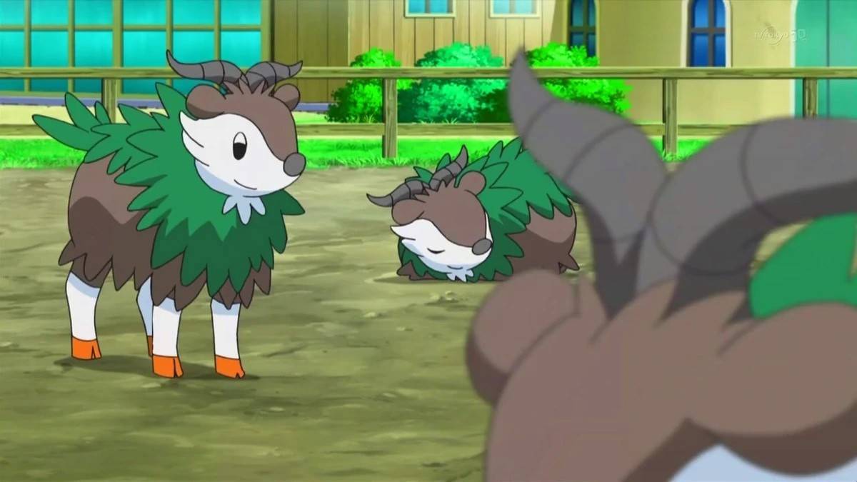 草山羊