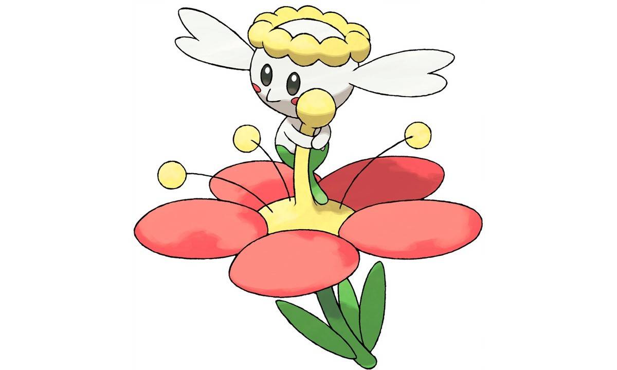 花贝贝