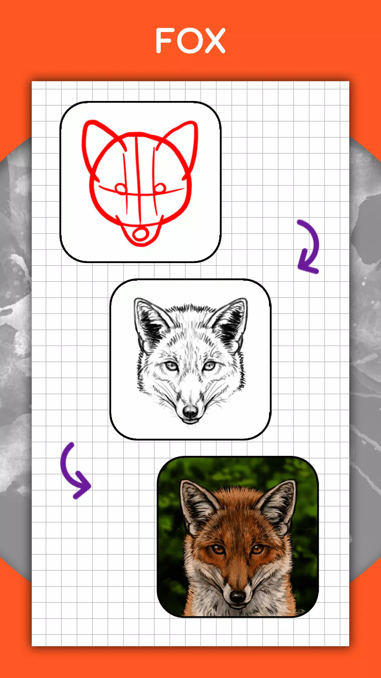 Wie zeichnet man Tiere, Fische Screenshot 4