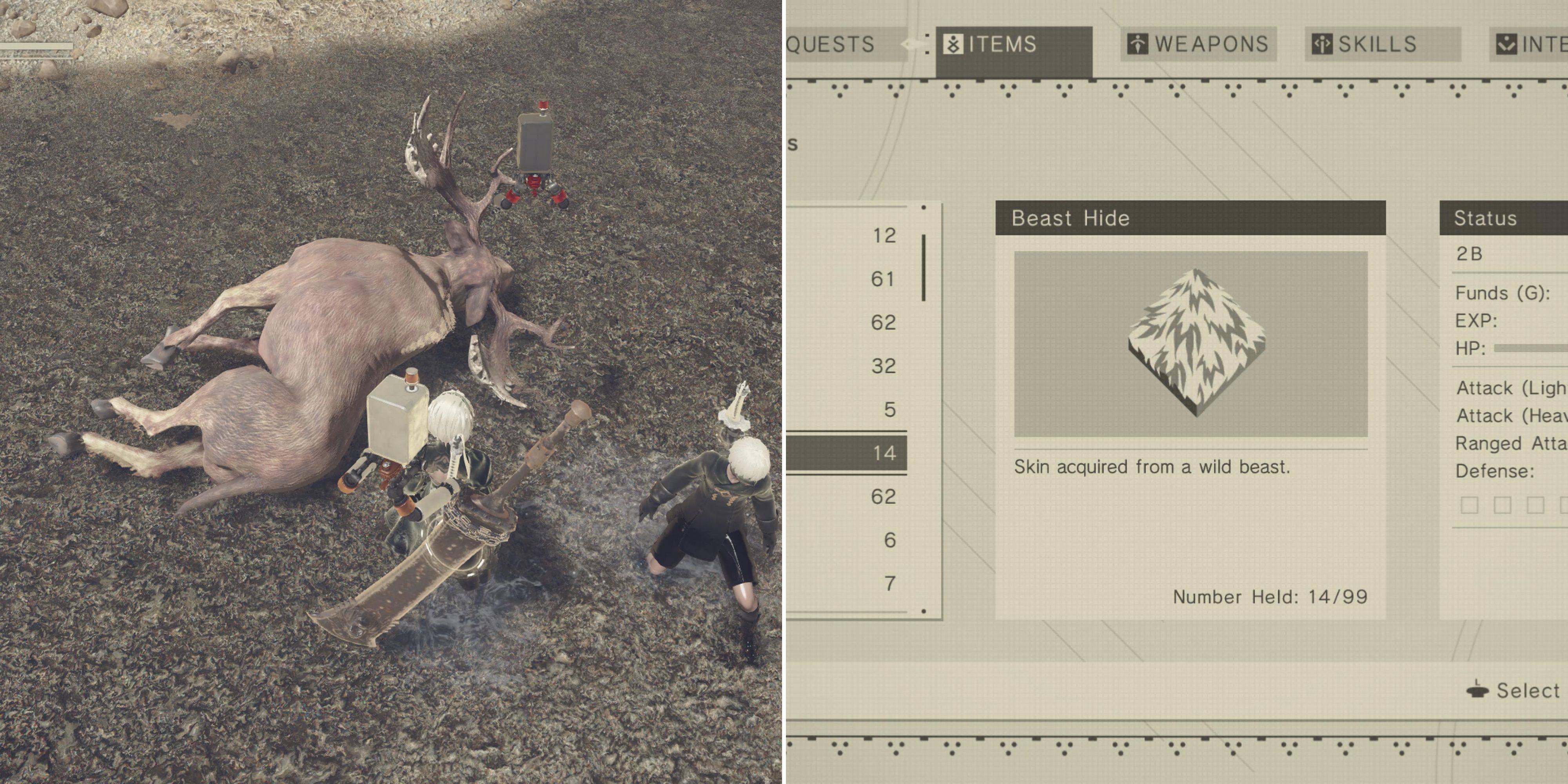 Znajdź lokalizacje Hide Beast Hide w Nier: Automata