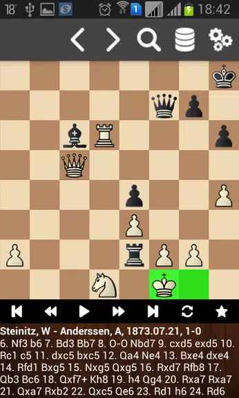 Партии Вильгельма Стейница 스크린샷 2