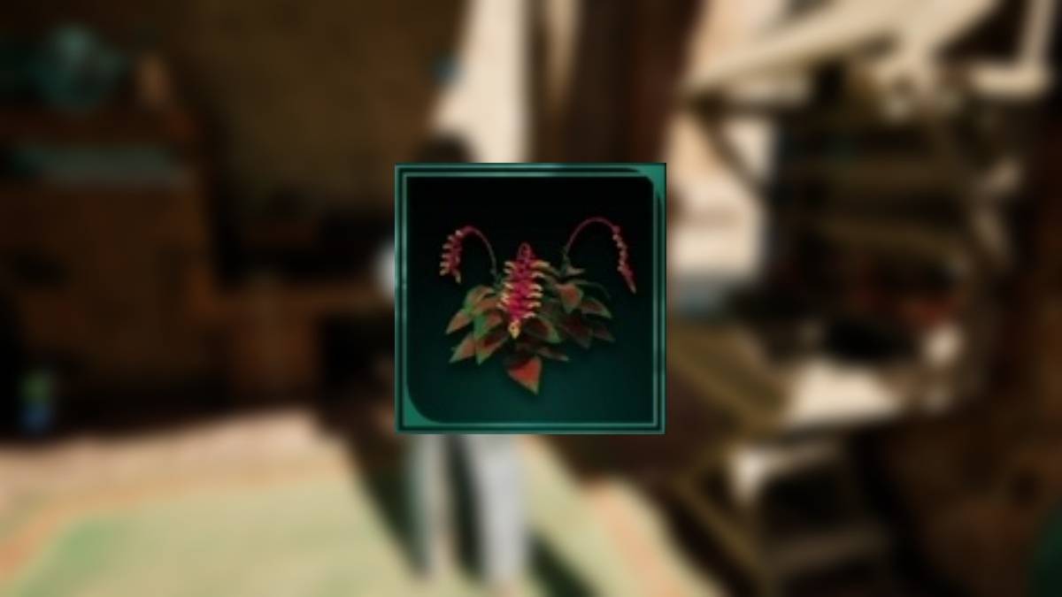 发现宣告的天堂阶梯的谜