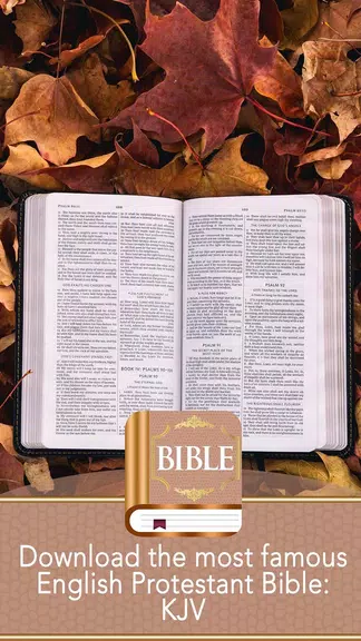 KJV Bible Скриншот 3