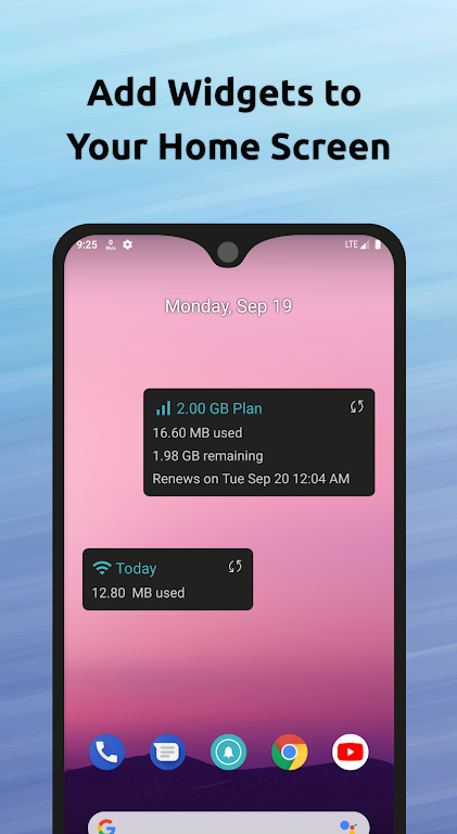 Data Usage Alert + Speed Meter應用截圖第3張