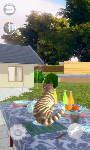 Talking Cat Funny Screenshot 2