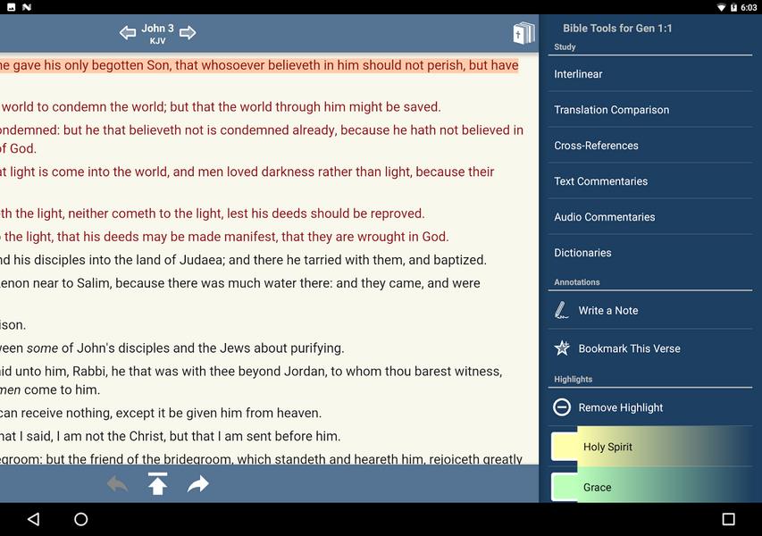 Schermata Blue Letter Bible 3