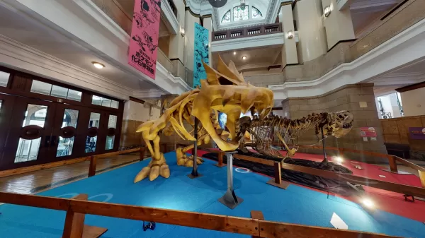 Pokémon Fossil Museum to Showcase Real and Replica Fossils in U.S. in 2026