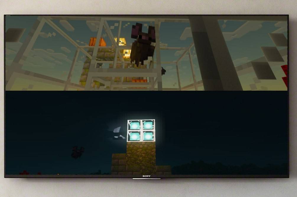 Splitscreen auf Minecraft