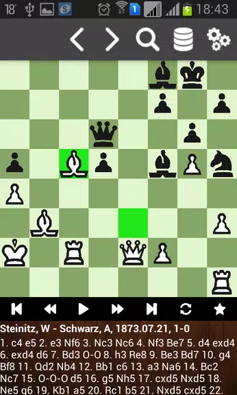 Партии Вильгельма Стейница 스크린샷 4