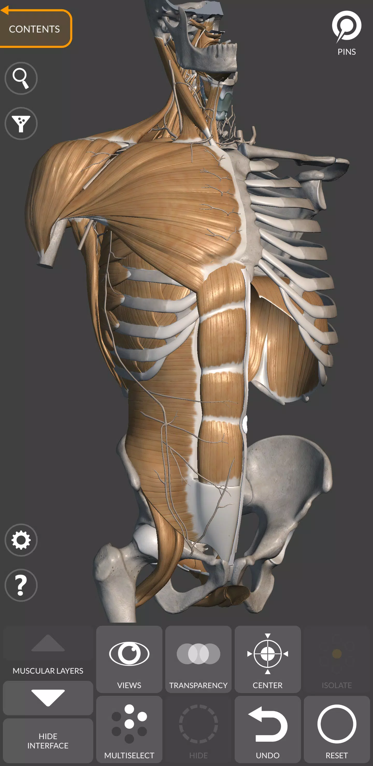 アーティストのための3D解剖学的構造 スクリーンショット 2