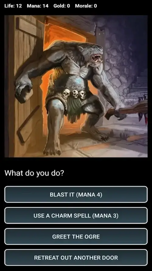 Dungeons and Decisions RPG ဖန်သားပြင်ဓာတ်ပုံ 3