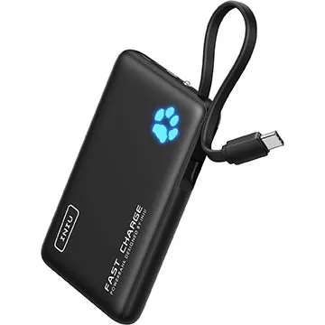 11 $ Banque électrique facture Nintendo Switch, Steam Deck, iPhone 16 à la vitesse de pointe