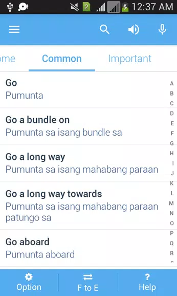 Filipino Dictionary Multifunct Captura de pantalla 4