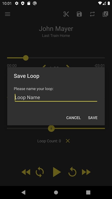 Loop Player應用截圖第3張