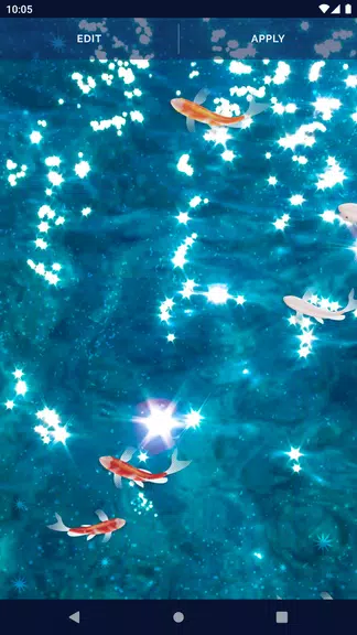 Fish 4K HD Koi Live Pond 3D应用截图第4张