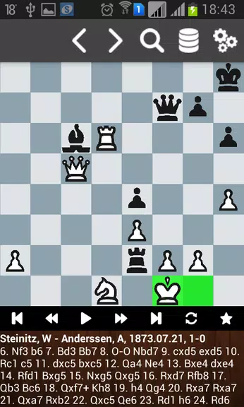 Партии Вильгельма Стейница 스크린샷 3