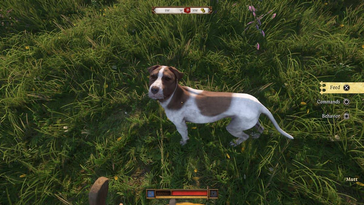 Dove trovare Mutt in Kingdom Come Deliverance 2